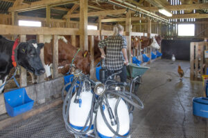 Rikdom i rutinene: Hilde produserer rømme, surmjølk, yoghurt, cottage cheese, halloumi og pultost. Hardt arbeid, men gildt.