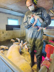 Ein tøff start: Svein-Magnus hadde inga erfaring med smågris då han overtok Brunes Gard. Med god hjelp frå mentor er bonden no motivert til å halde fram med purker og smågrisproduksjon. Foto: Privat.