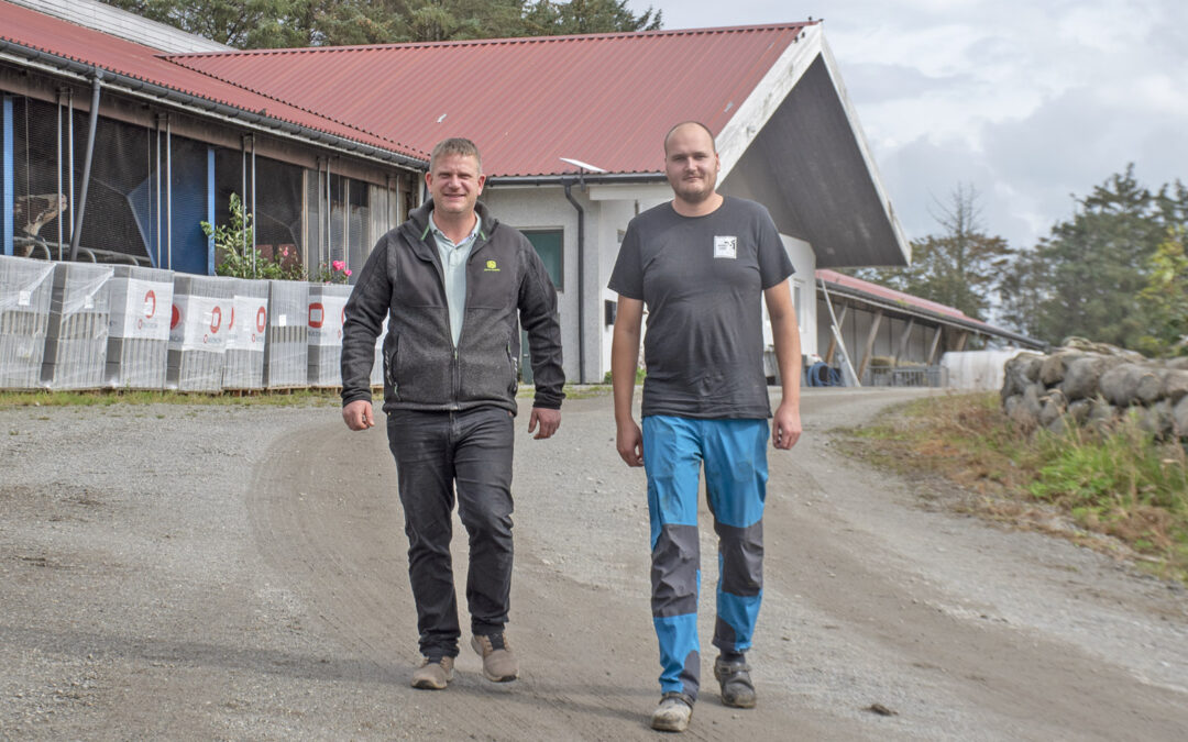 Motiverte av mentorordning