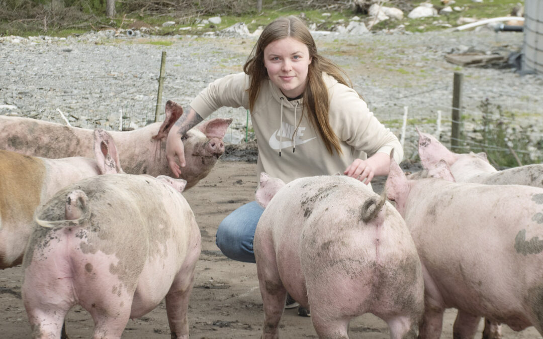 Utegris: God velferd, men auka fôrforbruk