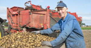 Haustetid: Torleiv Nærland smiler i kapp med sola over særs gode hausteforhold og fine poteter. Potetopptakaren er frå 1999, men gjer framleis jobben.