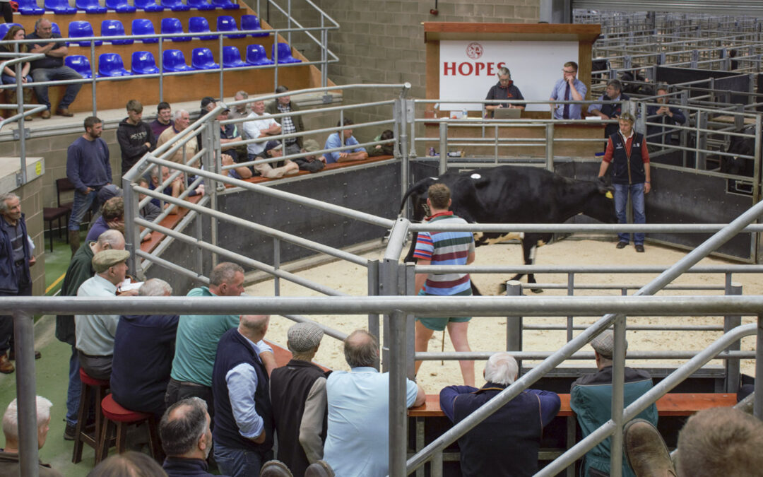 På auksjon i England