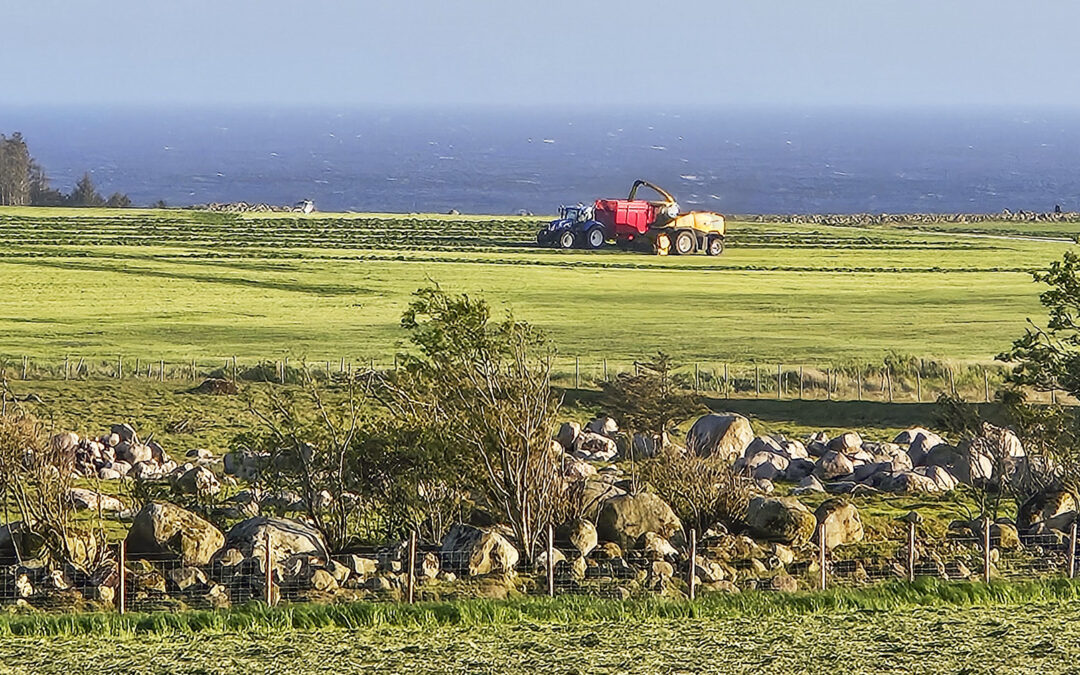 Klar for sisteslåtten