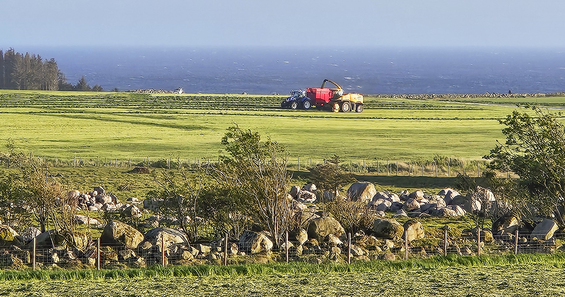 Etter planen: Årets vekstsesong har gjort det mogleg for grasdyrkarane å dyrka vinterfôr med den kvaliteten dei planla for. Her frå Hå tidleg i sommar. Foto: Thea Hjertuslot.