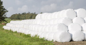 Grassat: Ekstra store lager med rundballar å sjå rundt på Jæren i haust.