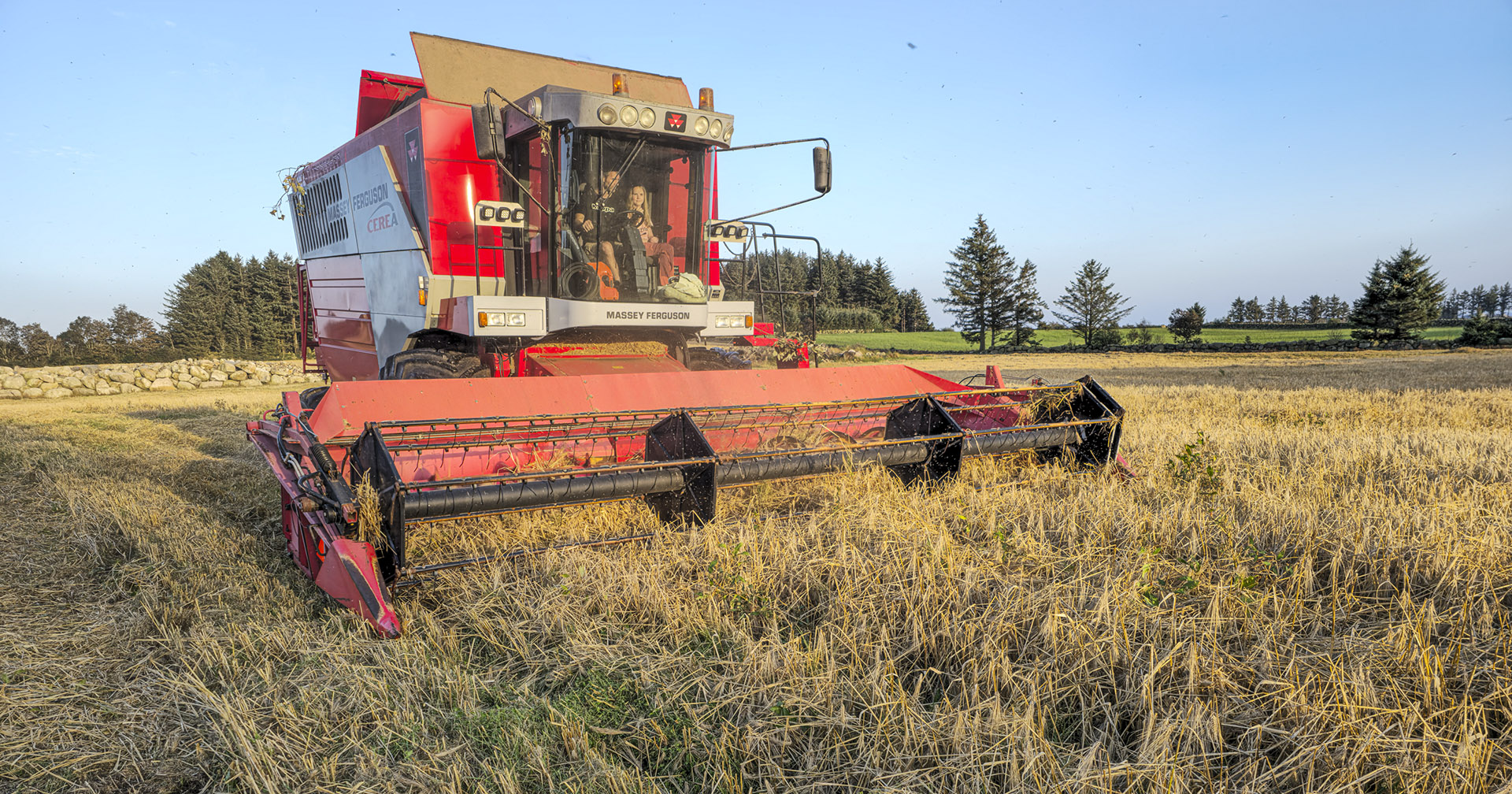 Tresking: Leif Harbo tresker seksradsbygg i ein åker sør på Jæren 13. august.