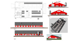 Deilig, men dyrt: Ønsker du å satse videre med et nytt fjøs, er god planlegging alfa og omega for å få ned kostnaden. Illustrasjonsfoto