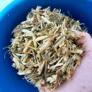 Tenk framover: Bruk fôrprøven du tar som eit styringsverktøy i drifta.