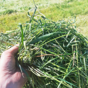 Nøgd, eller rom for betring? Kor tørt fôret vart kan bety mykje for grovfôrøkonomien din. Ta med deg årets erfaringar inn i ein ny sesong.