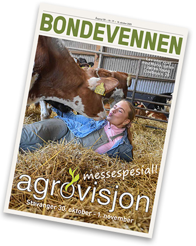 BV nr 17 – 10. oktober 2025