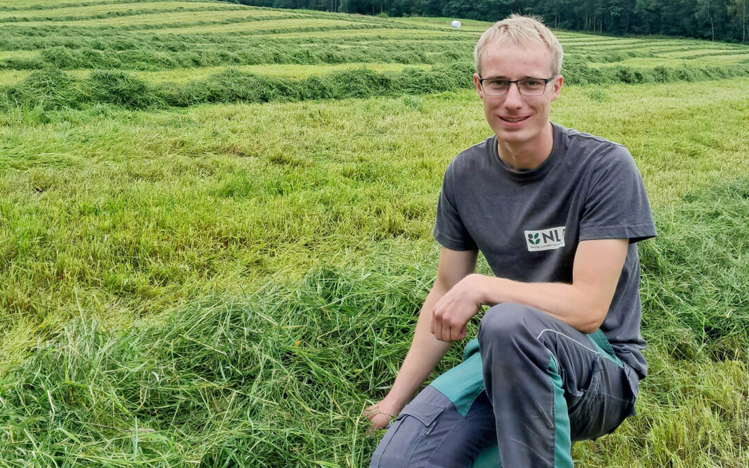 Bruk resultata frå fôrprøven