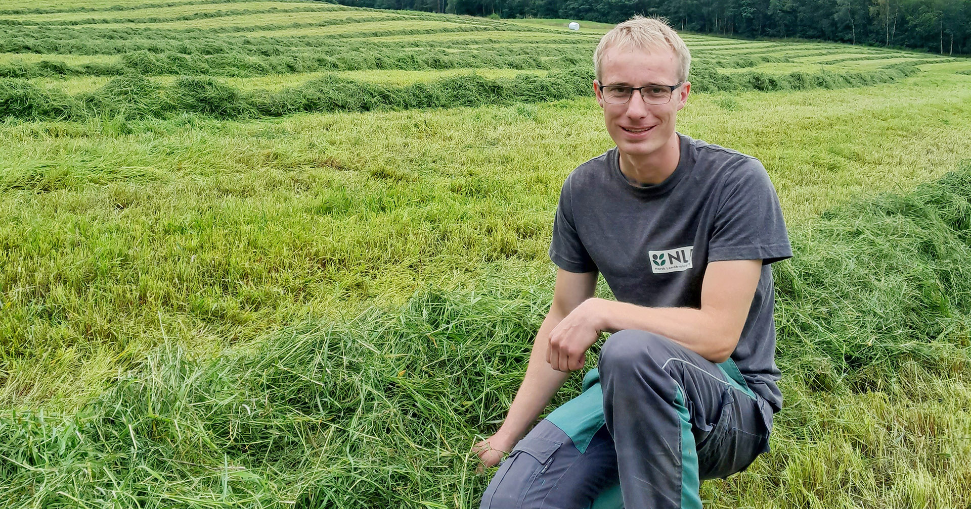 Spør eksperten: Får resultata frå fôrprøven noko å seie for drifta di, lurar grovfôrrådgivar og artikkelforfattar Bård Oliver Gjellestad på. NLR hjelper gjerne til med både uttak og tolking av fôrprøvar.