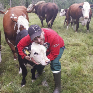 Hereford og NKS: Dyra blir sleppte på fjellbeite kvar sommar, men Bente Edal Edvartsen og sambuar Leon Edal Larsen er likevel tett på dei.