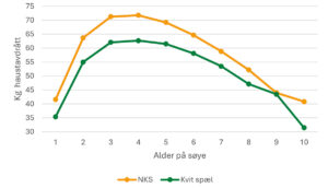 Figur 1: Gjennomsnittleg haustavdrått per aldersgruppe for NKS og Kvit Spæl (Sauekontrollen, Animalia)