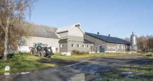 Bilete av bøndene Agnete Hansen og Henry Ole Larsen sitt sjølvbygde fjøs i Pasvik.