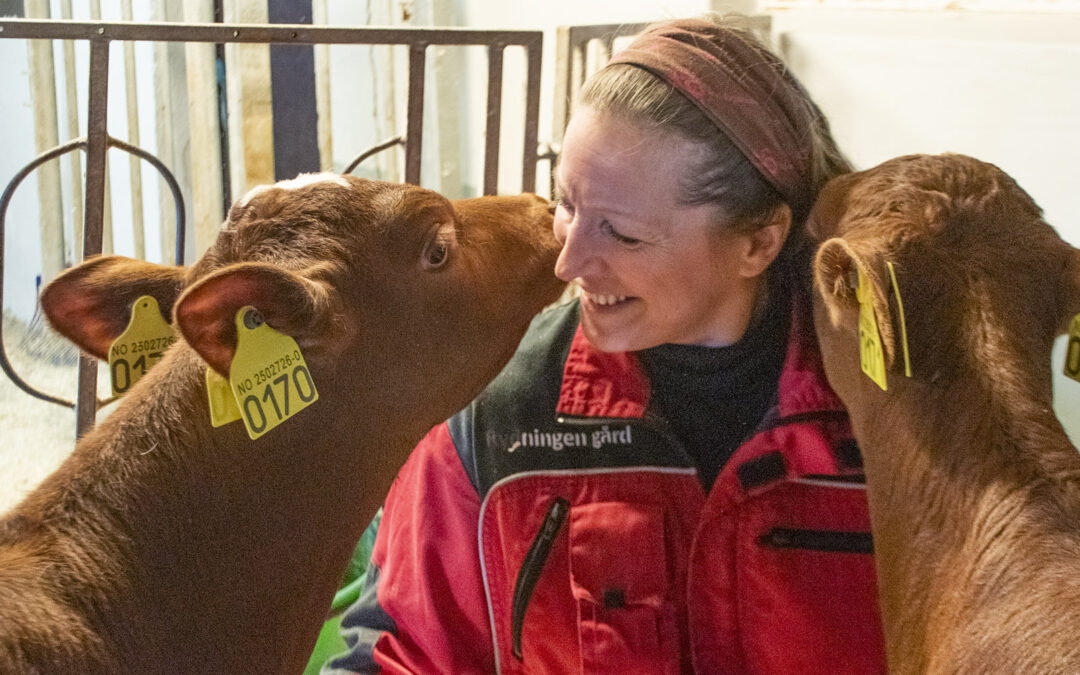 Jordbruk i grenseland