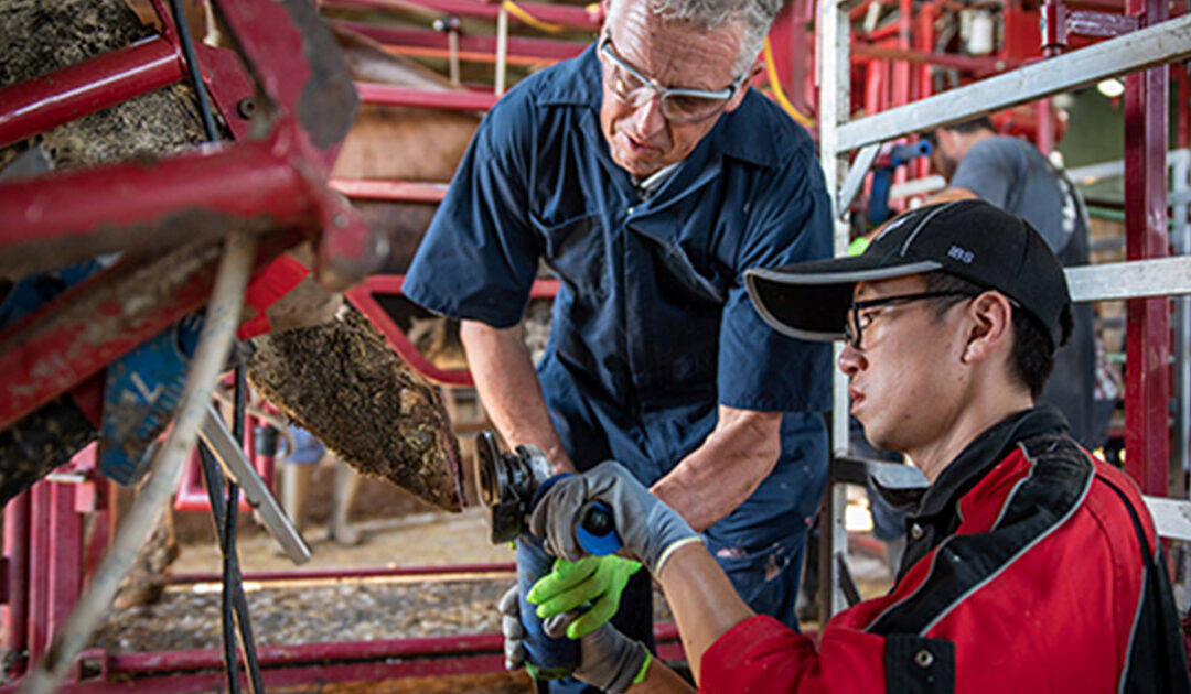 Bli med på klauvkurs i Sverige!