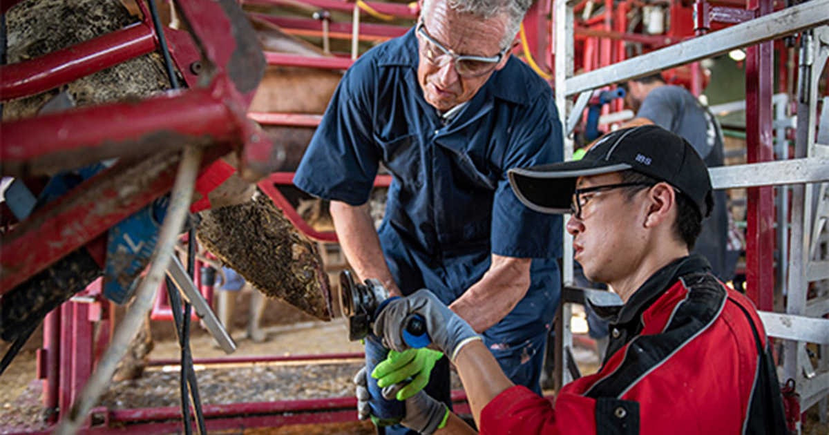 Erfaren kurshaldar: Karl Burgi er ein av verdas mest erfarne på klauvhelse, og har kurs over heile verda. No kjem han til Sverige, og DU kan delta på kurs! Foto: Sure Step Consulting