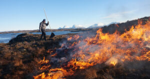 I fyr og flamme: Utan beiting og sviding vil kystlyngheia forsvinna. Her frå Smøla på Nordmøre. Foto: Siri V. Haugum.