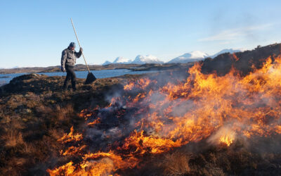Kan du lesa kystlyngheia?