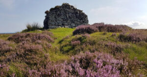 eit torvhus i kystlyngheia på Lygra – eit syneleg teikn på kulturarva i kystlyngheia. Foto: Torhild Kvingedal/Lyngheisenteret