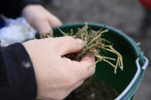 Følg med: Når du går fra tre til fire slåtter, endrer både fôrkvaliteten og logistikken rundt fôringa seg. Det kan stille nye krav til fôringssystemet. Foto: Morten Livenengen
