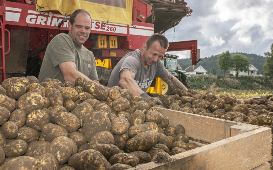 Vil nå fleire med lokalmat