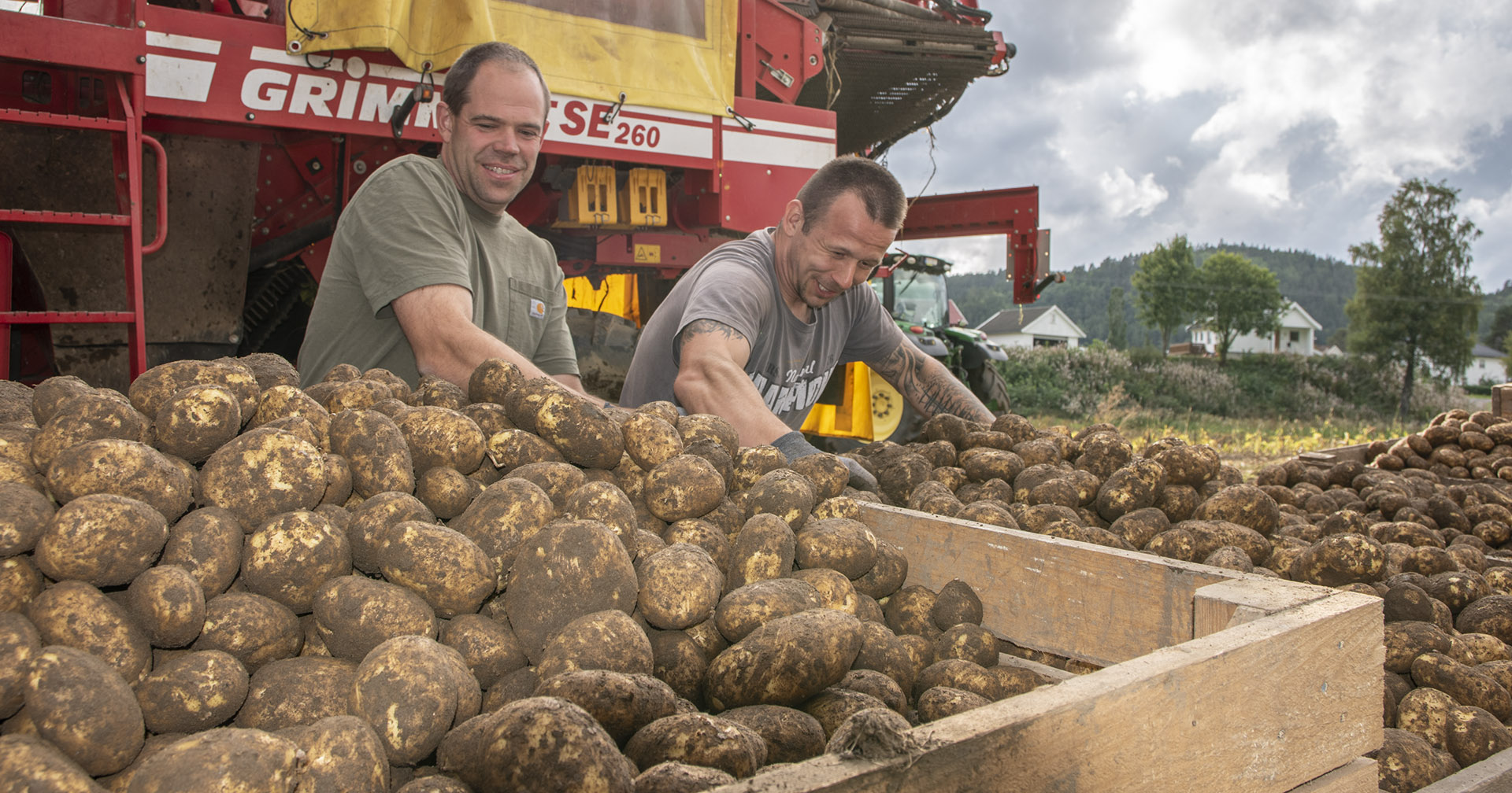 Potethaust: Fulle kassar og vel så det når potetopptakaren går for fullt hjå Hilde Undem og Leif Johann Raugsland i Birkenes. Leif Johann Rugsland t.v og Martin Myszka i arbeid. Dei store Folva-potetene skal leverast til potetterningproduksjon.