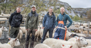 Rike dagar: Kvanndalen er langstrakt og bratt og det blir lange dagar i fjellet. Men så er det denne X-faktoren som sauen og heiedrifta har. Det som ikkje kan forklarast, ifølgje (f.v.) Magne Eggebø, Johan Eggebø, Samuel Halsne og Torjus Halsne.