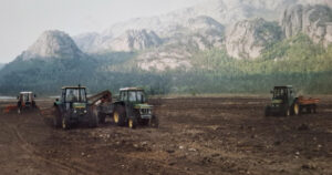 Godt samarbeid: Bra å vera mange, når steinen skal vekk.