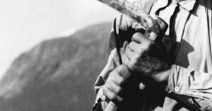 I eigne hender: Så mange bønder driv så effektivt og intensivt dei kan, i takt med tidas tankesett og krav. Likevel får dei aldri det økonomiske handlingsrommet dei strevar etter. Nokre vågar ein annan veg. Ikkje at den er lett, men den gjev livet meir kvalitet. Arkivfoto.