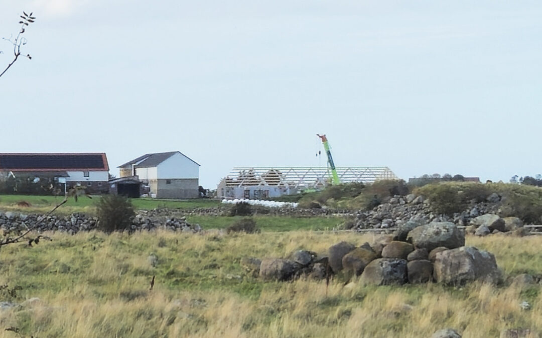 Rogaland treng eit krafttak for landbruksinvesteringar