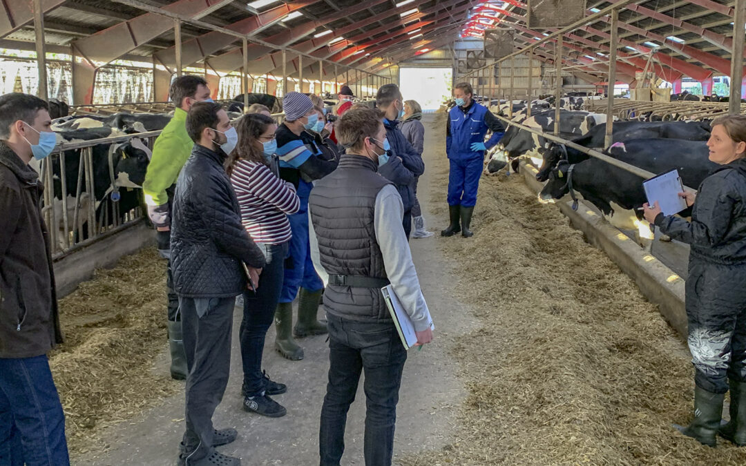 Vi lærte å lese kua