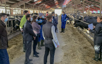 Vi lærte å lese kua