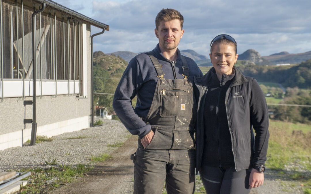 Kjøpte kalvar før dei planla fjøs