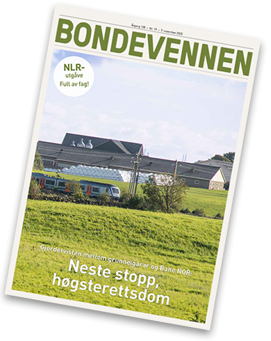 BV nr 19 – 7. november 2025