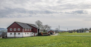 Enn så lenge: Fjøset på Gullhaug Gard er frå 1970-talet, og skal snart erstattast av eit nytt og moderne lausdriftsfjøs.