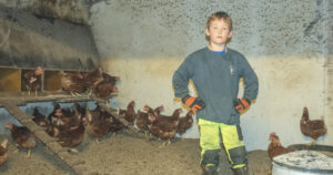 Alt på stell: I hønsehuset har hønene både rugekassar, kraftfôrautomat, vassbøtter og vaglepinnar.