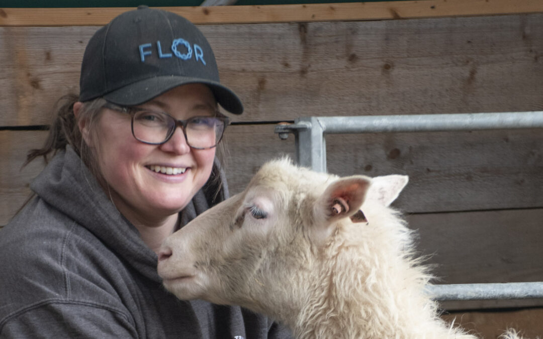 Ser meir lus på sau