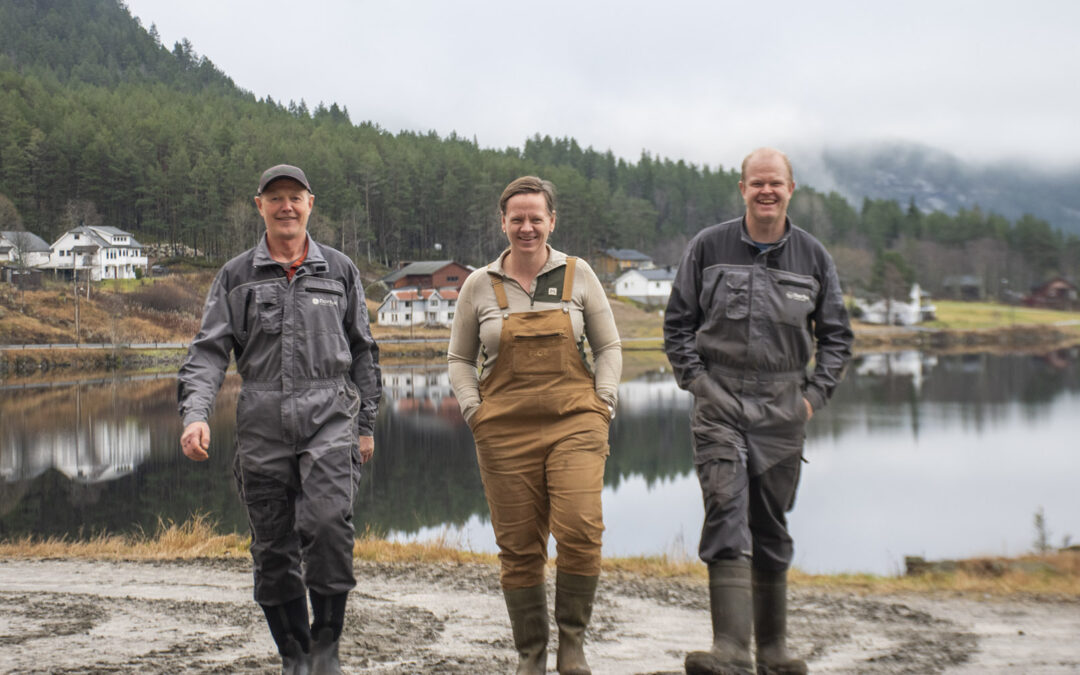 Mentor ammeku: Gode råd frå utanforståande