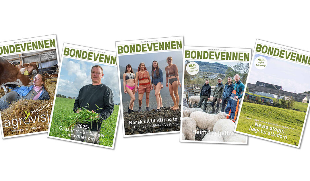 Redaktør i Bondevennen