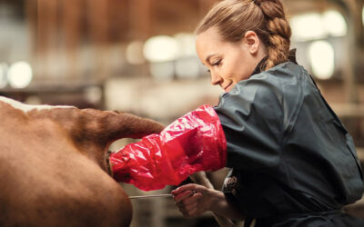 Du kan faktisk påverke brunsten