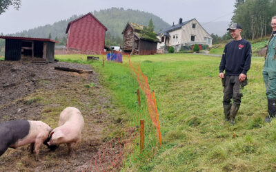 Dina og Andreas har funne sin plass