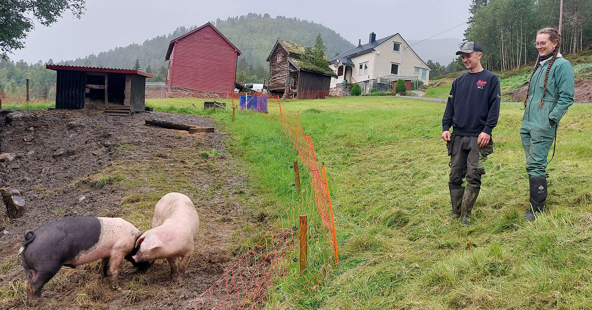 Liv i Hagen: Garden var fråflytta i mange år då Dina og Andreas overtok Hagen i 2022. Sidan dess har dei unge bøndene fylt tunet, beitene og fjøset med dyr og drift. Og ennå er det rom for meir…