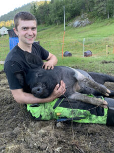 Dyr i sentrum: Både Dina og Andreas jaktar. Dina er godkjent ettersøksjeger saman med dachsen Kaiza. Grisane på garden jaktar på kos, og her har ein av dei skote blink.