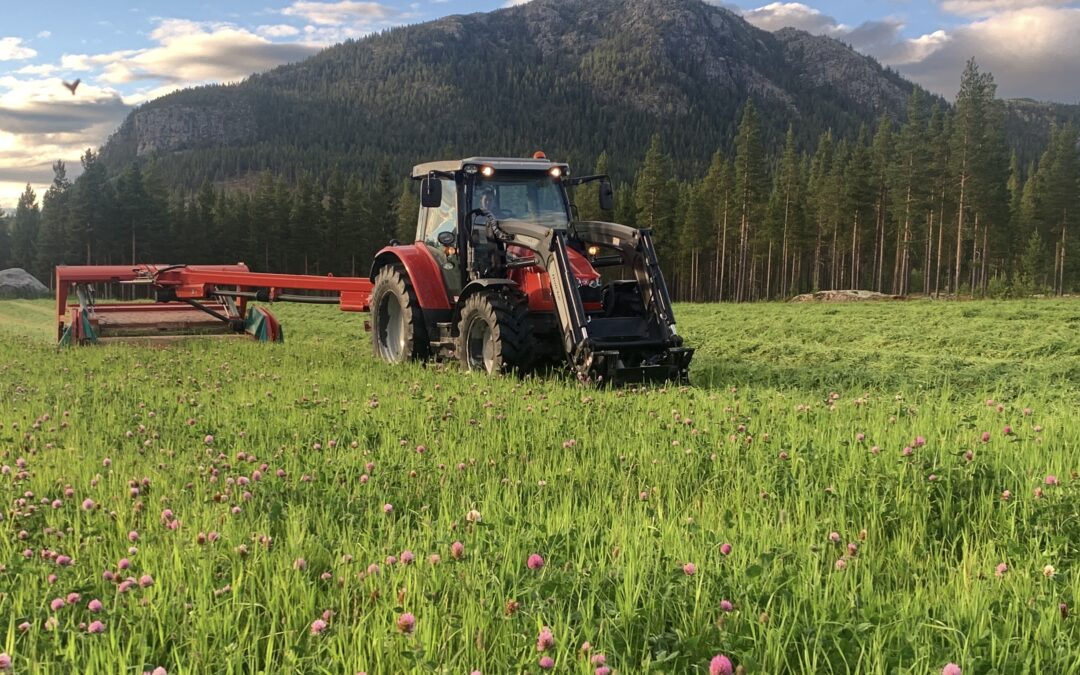 – Viktig å henge med optimistar