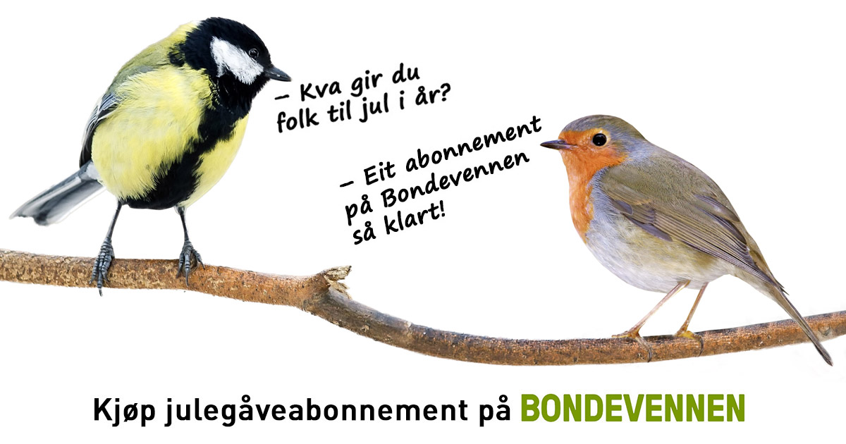 Gi Bondevennen i gave