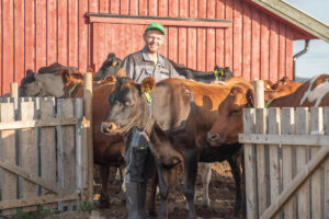 Motstraums: Medan setringa er under press, er det nokon som går mot straumen og byggjer nytt på setra. Ein av dei er Lars Høvring i Øyer. Illustrasjonsfoto.