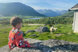 På stølen: Garden har beiterett på ein støl som ikkje ligg lenger vekk enn at dei kan sjå heim til garden som ligg på andre sida av vatnet. Foto: Privat.