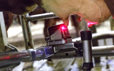 – Me tar maten for gitt